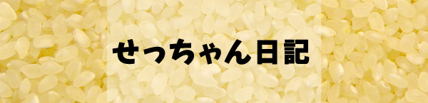 せっちゃん日記